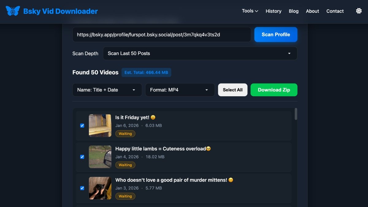 Batch profile downloader showing 50 Bluesky videos ready for bulk download